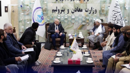 دیدار سرپرست وزارت معادن و پترولیم طالبان با سرمایه‌گذار روسی