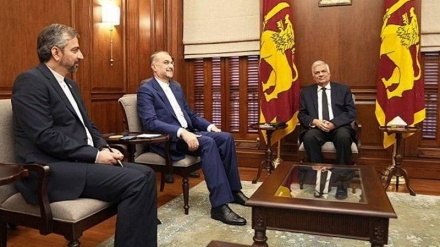Amir Abdollahian në takim me Masingeh/ Irani është i gatshëm të zhvillojë bashkëpunim me Sri Lankën
