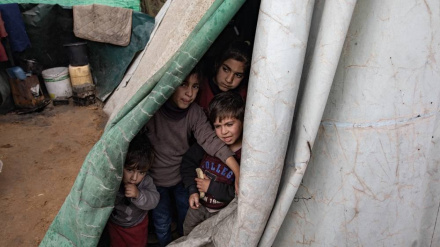 UNRWA. Ոչ մի տեղ անվտանգ չէ Գազայի բնակիչների համար
