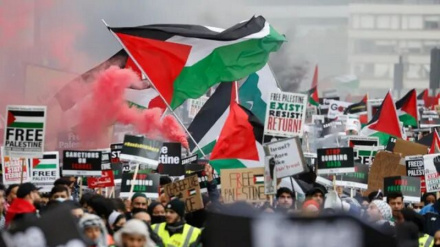 Продолжение протестов  в Европе против преступлений сионистского режима в секторе Газа