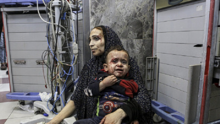 Предупреждение международных органов и институтов о положении жителей Газы