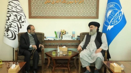 وزیر معارف طالبان همکاری ایران را در بخش آموزش خواستار شد