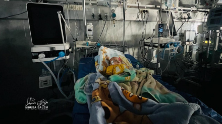 ХАМАС: Закрытие больницы Адван усугубит критическую ситуацию в секторе Газа
