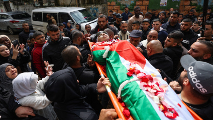 Palestinian death toll from ongoing Israeli war surpasses 29,000: Health Ministry