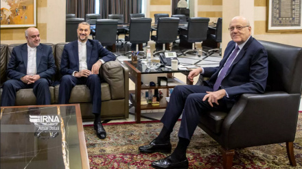 Амир-Абдоллахиан: Настоящими владельцами Палестины являются палестинцы