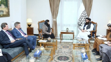 رایزنی طالبان با هیئت سازمان ملل متحد پیرامون نشست دوحه 