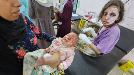 Американский сенатор: Америка является соучастником сионистского режима в войне в Газе