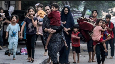 Никарагуа выразила солидарность с палестинским народом, назвав улицу в честь Газы