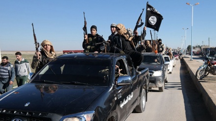 گزارش شورای امنیت در مورد حضور القاعده و داعش درافغانستان 