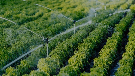  ساخت سامانه خودکار انتقال آب کشاورزی در ایران