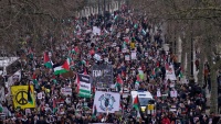 45个国家100个城市举行示威活动支持受压迫的巴勒斯坦人民
