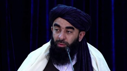 مجاهد: سران تحریک طالبان پاکستان در افغانستان نیستند