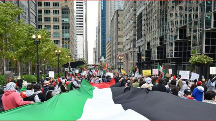 Продолжение глобальных демонстраций в поддержку палестинской нации