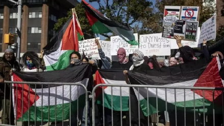 הפגנות בניו יורק ובשיקגו נגד התוקפנות הישראלית על עזה