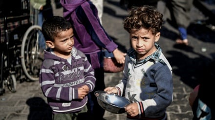 Shefi i OBSH: Situata në Gaza çnjerëzore, armëpushim tani