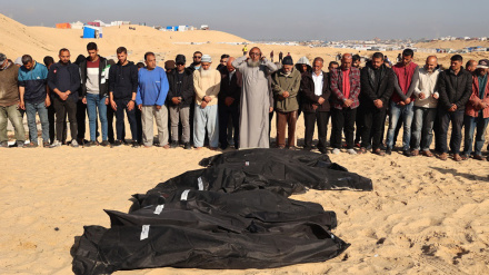 Israel martyrs 99 Palestinians in fresh airstrikes on Rafah, elsewhere in Gaza