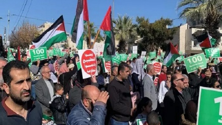 Массовые демонстрации жителей Иордании, Бахрейна и Йемена в поддержку палестинцев в Газе