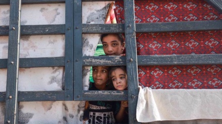  Israel kills 4,890 students in four months of war on Gaza 