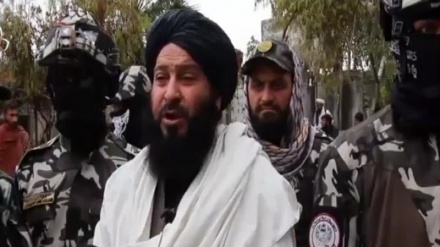 طرح طالبان برای کاهش مدت حبس زندانیان  