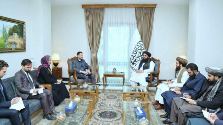  طالبان د دوحې په غونډه کې مناسب ګډون غواړي