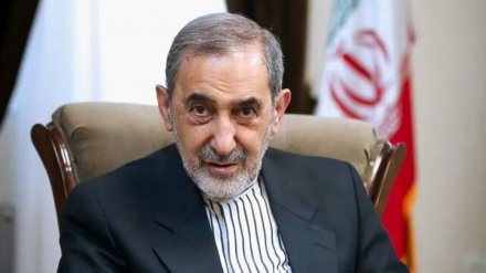Viloyəti: Amerkə himoyə sionist rejimi  cinayəton dəvomədə əsosə rol ifo kardedə