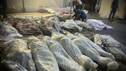 13 palestinezë ranë dëshmorë në sulmet e fundit sioniste në Gaza