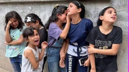 Պարենի համաշխարհային ծրագիրը նախազգուշացրել է Գազայի հատվածում տիրող հումանիտար աղետի կապակցությամբ 