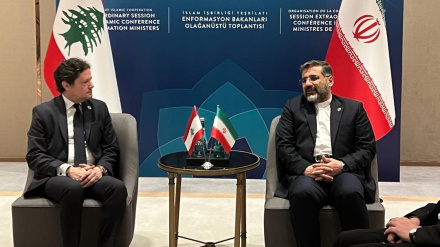 Акцент на расширении культурного сотрудничества Ирана и Ливана