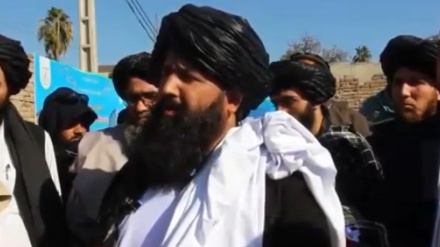تلاش طالبان برای جذب استادان خارجی در دانشگاههای افغانستان