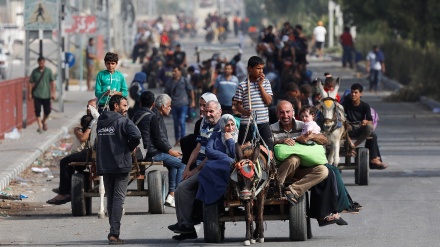 Jelang Invasi Darat Zionis, Warga Gaza Meninggalkan Rafah