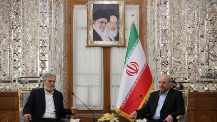 Kryetari i Parlamenti Islamik të Iranit: Republika Islamike e Iranit është plotësisht e përkushtuar për të mbështetur frontin e rezistencës dhe Palestinën