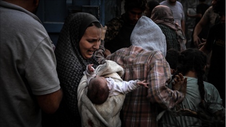 Предложение жены президента Ирана создать международную группу помощи сектору Газа