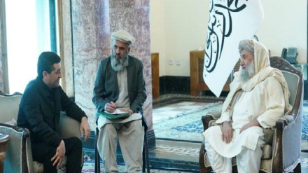 افزبکستان له افغانستان سره خپلې تجربې شریکولای شي راپور دلته واورئ