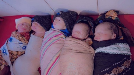 یک خانم در ننگرهار پنج کودک به دنیا آورد