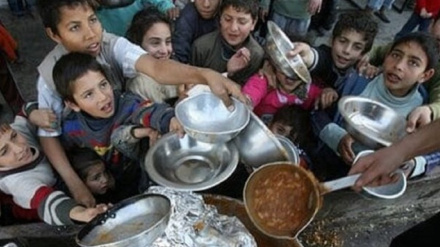 15 ילדים מתו בימים האחרונים מתת-תזונה ברצועת עזה
