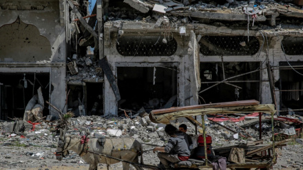 Knesset-Abgeordneter: Krieg gegen Gaza wird mit Besiedlung des nördlichen Gazastreifens durch Israelis enden