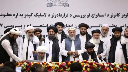 فارن پالیسی: طالبان، القاعده را در عواید معادن افغانستان سهیم کرده است