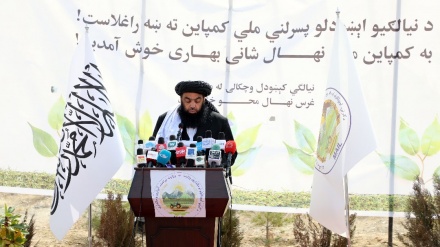 عبدالکبیر: تلاش ها برای انتقال آب پنجشیر به کابل جریان دارد