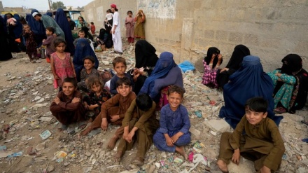 ۸۰ درصد کودکان افغان در پاکستان از تحصیل محرومند