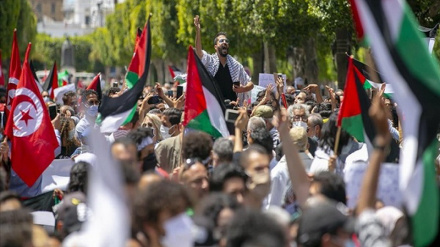 Декларация солидарности Туниса с палестинским народом