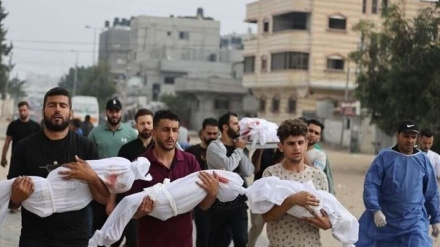 Martirizohen 41 qytetarë palestinezë në sulmet e fundit sioniste
