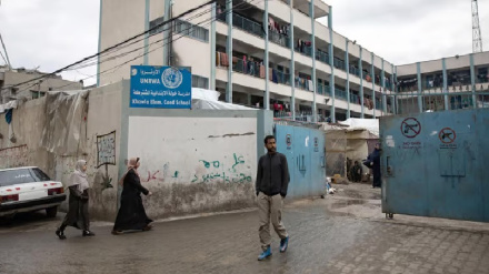 דוח הביניים על אונר