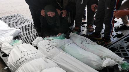 Призыв Amnesty International о немедленном расследовании убийств жителей Газы, стоявших в очереди за гуманитарной помощью