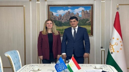 افزایش همکاری دوجانبه بین کمیته حفظ محیط زیست تاجیکستان و سازمان ملل متحد