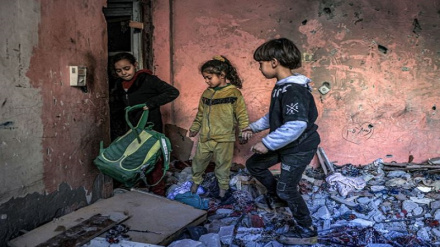 Американская законодательница: Израиль совершает геноцид в секторе Газа