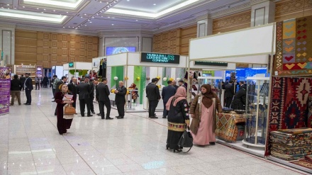 عزیزی: نمایشگاه افغان ـ ترکمن فرصتی برای جذب سرمایه‌گذاران خارجی است