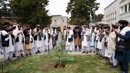 نهال شانی رئیس کابینه طالبان در ارگ