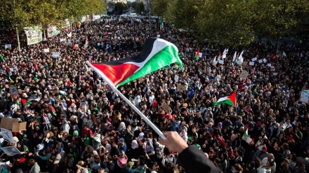 По всему миру продолжаются акции в поддержку Палестины и сектора Газа