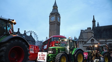 Petani Inggris Mengadakan Protes Traktor di Luar Parlemen