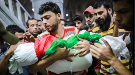 Канаани: Америка является главным обвиняемым в нарушении прав человека